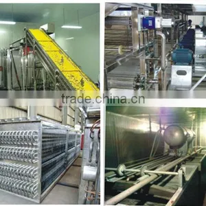 Iqf Tunnel Freezer Potato Chips Machine Blast Freezer thumbnail-2