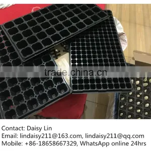 Multicell Plant Trays thumbnail-1