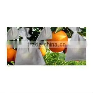 PP Nonwoven Fruit Growing Bags thumbnail-1
