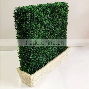 2017 SJ0032008 Hot Sale Artificial Boxwood Hedges for Outdoor UV Plastic Boxwood Hedges thumbnail-3
