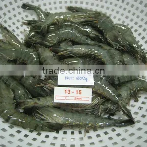 Shrimps thumbnail-1