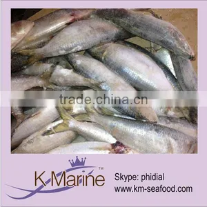 Frozen Bait Sardines Seafood Fish thumbnail-1