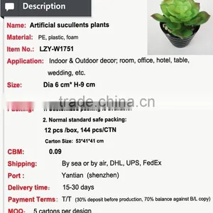 Wholesale Artificial Plants Mini Succulents for Indoor Decoration thumbnail-2