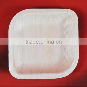 Arcea Palm Leaf Plates - 100% Natural & Biodegradable thumbnail-1