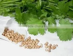 COARINDER OIL thumbnail-2