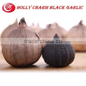 Fermented Single Black Garlic Boost Immune System thumbnail-3