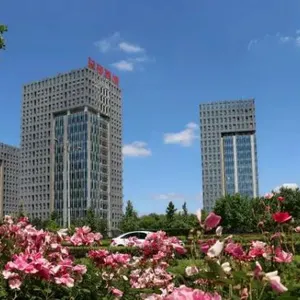 Shandong Guangmao Enterprises Co.,Ltd. company overview - view 2 thumbnail