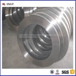 Z40g Hot Dipped Galvanized Steel Strip Zinc Coated High Strength Steel thumbnail-3
