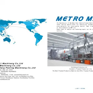 Linyi Metro Int'l Trading Co., Limited company overview - view 1 thumbnail