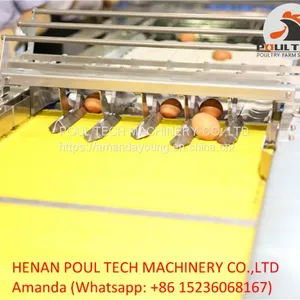 Egg Packing Machine thumbnail-4