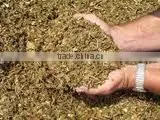 Quality BAGASSE for Animal Feed thumbnail-3