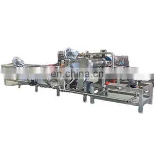 Industrial Dried Fruit Processing Line thumbnail-1