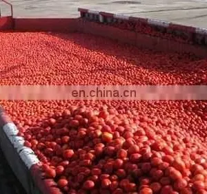 Fully Automatic Tomato Sauce/ Paste /powder Production Line thumbnail-5