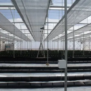 2025 Top Quality Greenhouse Thermal Screen thumbnail-4