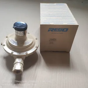 REGO Gas Regulator LV4403C4 LPG Single-stage Pressure Reducing Valves Industrial Boiler Pressure Regulating Valve 13kg/h thumbnail-3