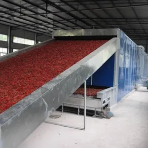 Dehydrated Fruit Vegetable Dehydrated Root &foliage Vegetable Processing Line thumbnail-4