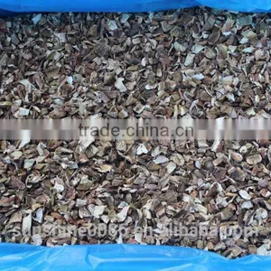 Dried Porcini Mushroom Fresh Mushroom Farm thumbnail-2