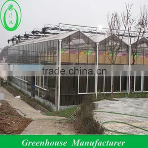 12M Wide Span Greenhouse thumbnail-1