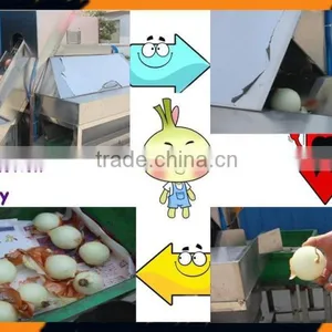 Onion Pulp Machine thumbnail-1