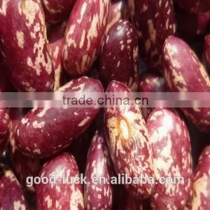 Chinese Purple Speckled Kidney Beans thumbnail-1