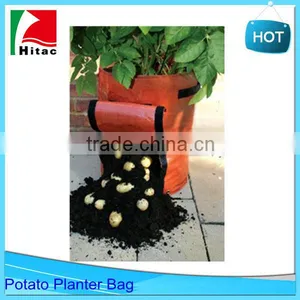 40L Green Potato Grow Bag Planter With Pockets,Round Garden Planter Bags thumbnail-4