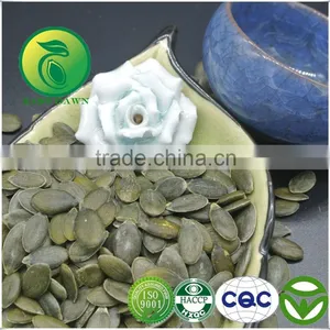 Chinese Pumpkin Kernels GWS (Grown Without Shell) Grade AA thumbnail-1