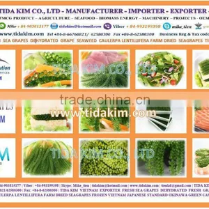OREO BISCUIT TIDA KIM - OEM PRODUCTION - VIETNAM EXPORTER -MAIN DISTRIBUTOR INDO THAI thumbnail-4