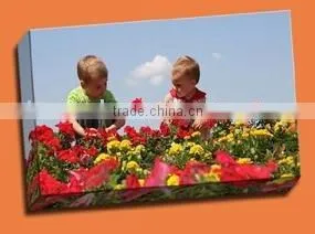 Matte Polyester Inkjet Art Printing Cotton Canvas thumbnail-1