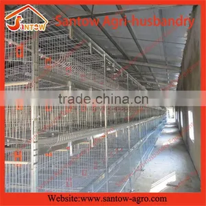 Stable Steel Structure Professional Chicken Egg Layer Cage Broiler Farm Design thumbnail-6