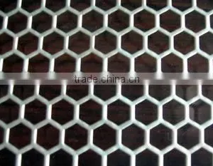Specail Perforated Metal Sheet thumbnail-1
