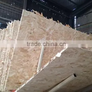 OSB for Russia Construction Melamine Glue OSB 3 (Oriented Strand Board) With Cheap Price thumbnail-4