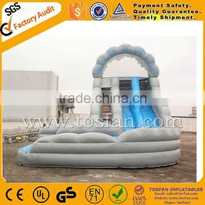 Giant Infaltable Water Slide for Amusement Park A4026 thumbnail-4