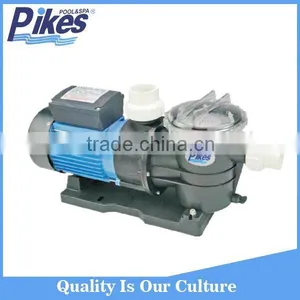 Hot Sale Popular Model dc Motor Swimming Pool Pump thumbnail-1
