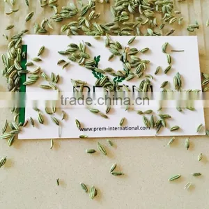Indian Fennel Seed thumbnail-1