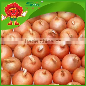 Best Pearl Onions Fresh Yellow Onion Types Low Price for Sale thumbnail-2
