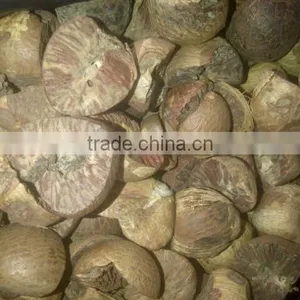 Dried Betel Nut High Quality From Viet Nam thumbnail-1