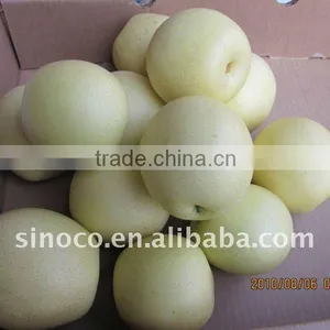 The Crown Pear In China thumbnail-1
