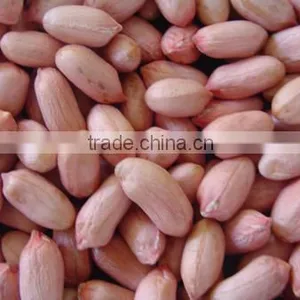 2015 New Peanut Kernel With Whole Price thumbnail-5