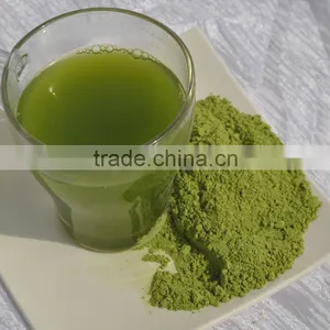 100% Purity Organic Barley Grass Powder thumbnail-3