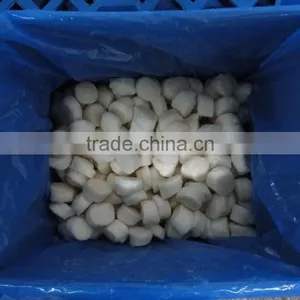 Frozen Sea Scallop Meat thumbnail-1