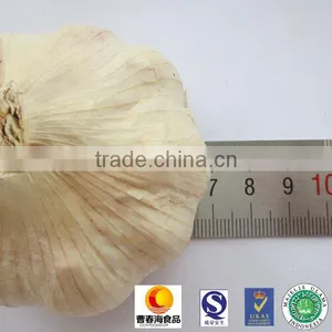 Chinese Exported Air Dried Normal White Garlic thumbnail-1