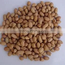Peanut Kernel (Round Size) thumbnail-1