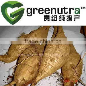 Kudzu Root Extract Powder thumbnail-1