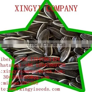 Cheap Bulk Chinese Sunflower Seeds 5009 24/64 in 2015 thumbnail-4