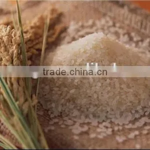 Hot Selling Small Rice Threshing Machine thumbnail-1