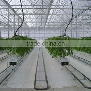 Hydroponics Greenhouse Multi Span Poly Film/PC Sheet thumbnail-1
