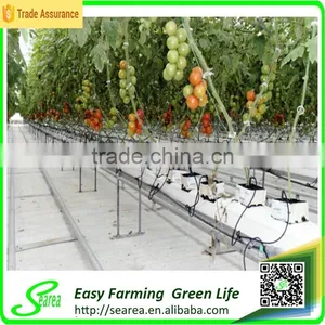 Factory Price Greenhouse Project Hydroponics in Pvc Pipe thumbnail-4