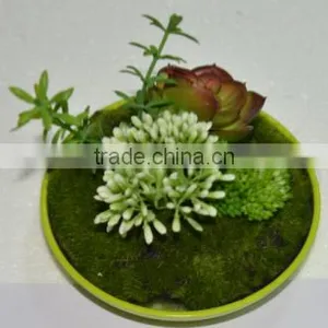 SJ0409032 Indoor Wall Hanging Mini Wall Art Decoration thumbnail-3