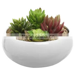 Decorative Display Bowl Round White/green Ceramic Succulent Plant Flower Planter Pot thumbnail-2