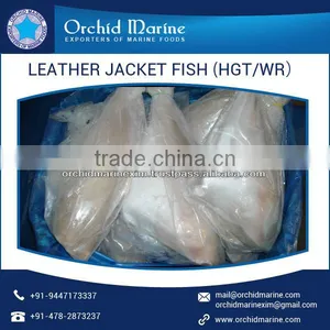 Dried Leather Jacket Fish Having Pleasure Flavor thumbnail-6
